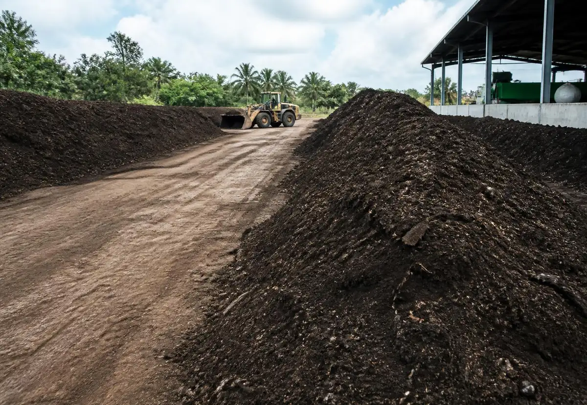 Organics processing reference imagery